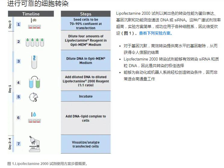 LIP200轉染試劑