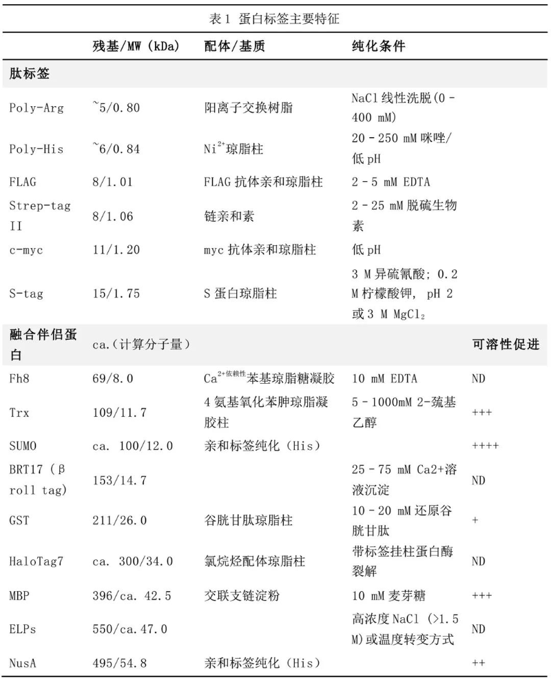 蛋白標(biāo)簽特征