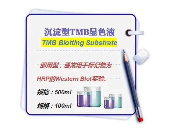 沉淀型單組分-TMB顯色液-TMB Blotting Substrate