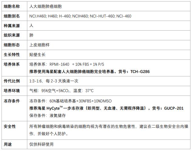 NCI-H460細胞