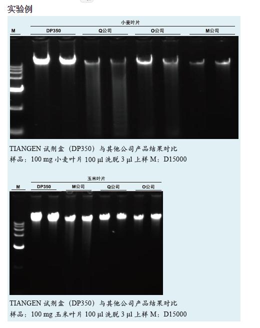 天根DNA提取試劑盒