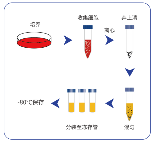 一步凍存法步驟