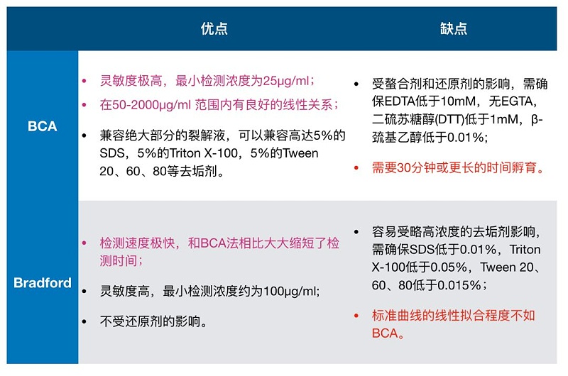 BCA蛋白定量