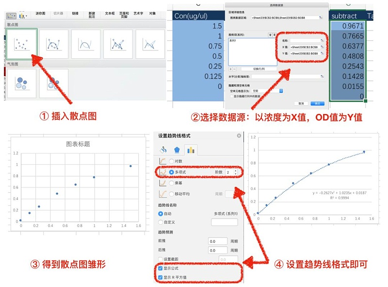 蛋白定量 二項(xiàng)式