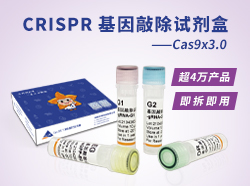 CRISPR基因敲除試劑盒