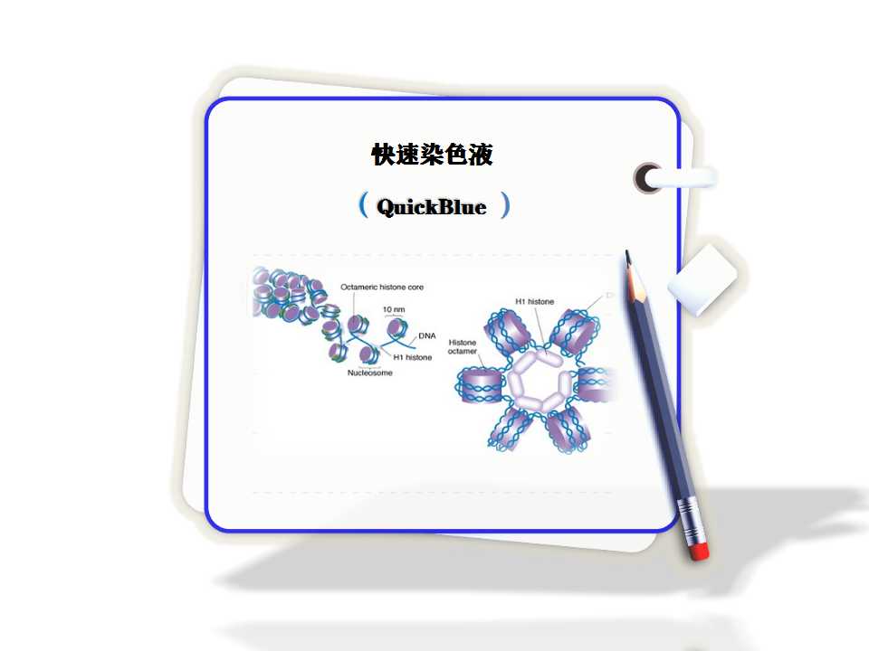 快速染色液-蛋白膠染色液?-QuickBlue