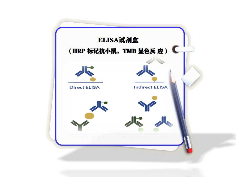 試劑盒elisa?（HRP 標記抗小鼠，TMB 顯色反 應）