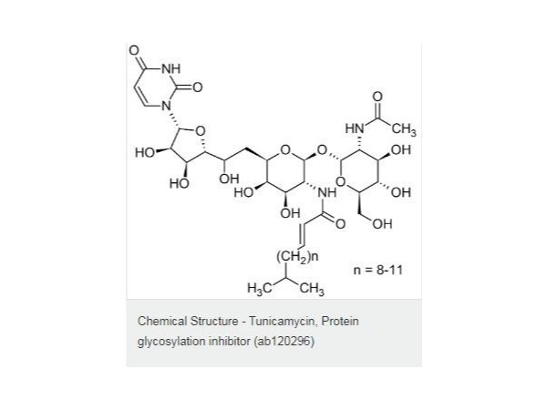 Tunicamycin-糖基化蛋白抑制劑-蛋白酶體抑制劑-ab120296