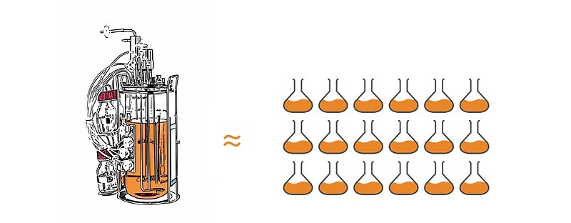 生物反應器與搖瓶