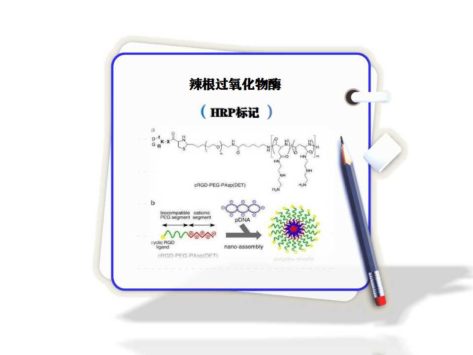 辣根過氧化物酶HRP