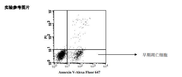 細(xì)胞凋亡檢測(cè)效果