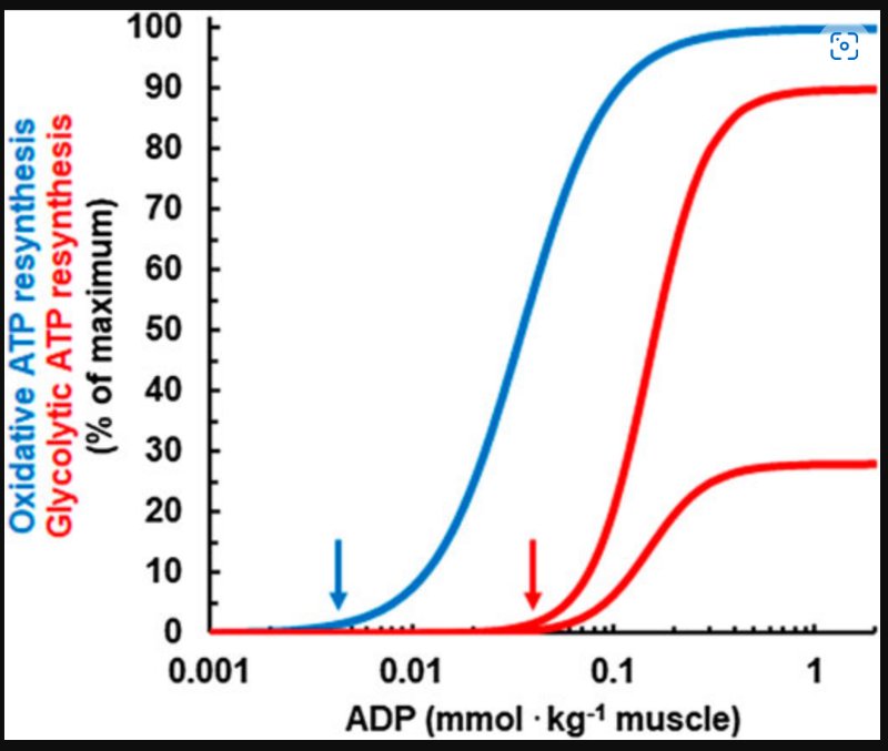 ATP