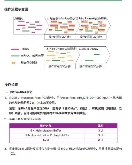 兩步法4