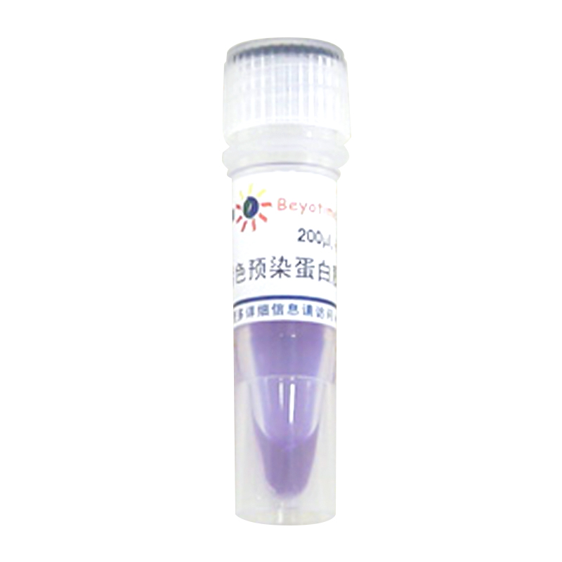 碧云天P0068-彩色預染蛋白質(zhì)分子量標準(10-180kD)