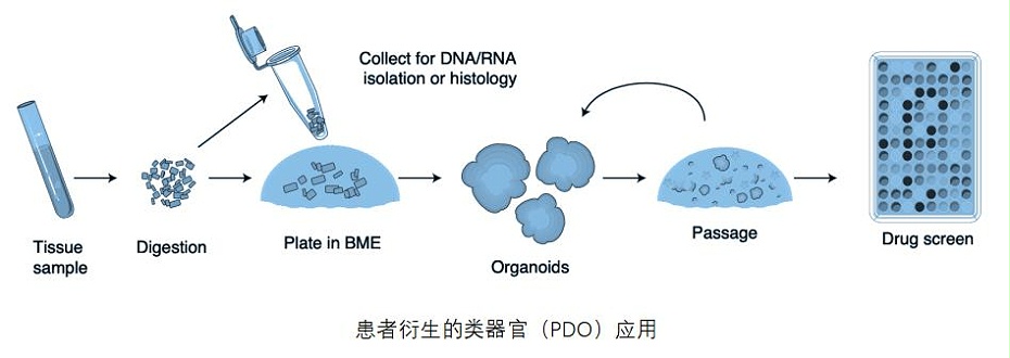 POD應(yīng)用