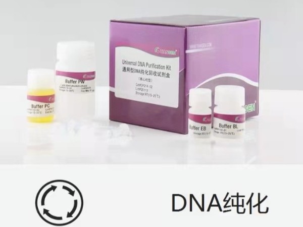 天根 DP204 普通DNA產(chǎn)物純化試劑盒