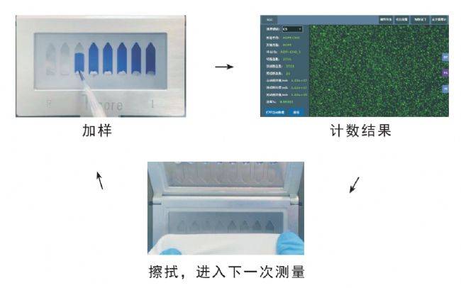 細(xì)胞計(jì)數(shù)儀參數(shù)1