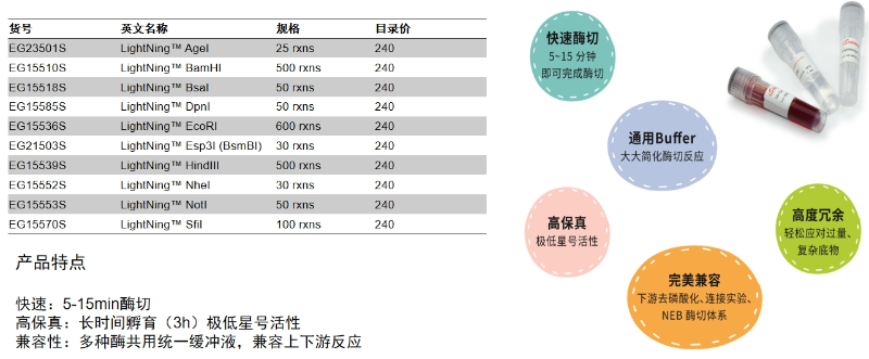 限制性內(nèi)切酶貨號(hào)