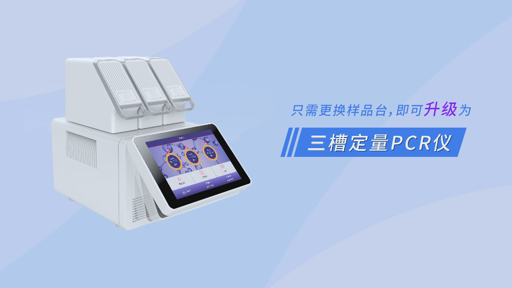 <i style='color:red'>2025</i> 年熒光定量 PCR（qPCR）實驗技巧：提高 PCR 特異性的 9 種方法