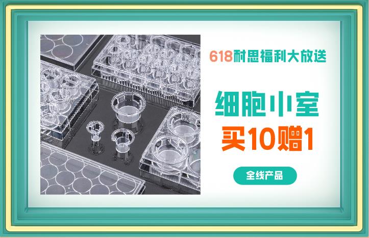 細(xì)細(xì)胞共培養(yǎng)小室