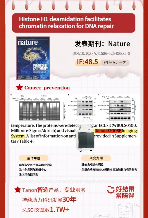 天能化學(xué)發(fā)光儀