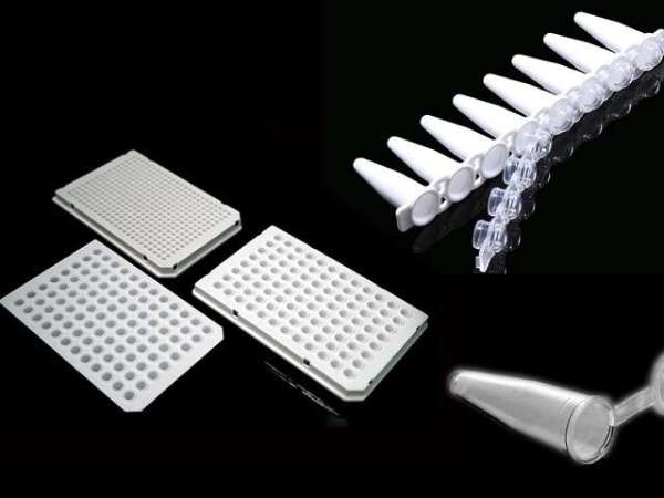 耐思 Axygen PCR 單管及八聯(lián)管產品型號與包裝規(guī)格